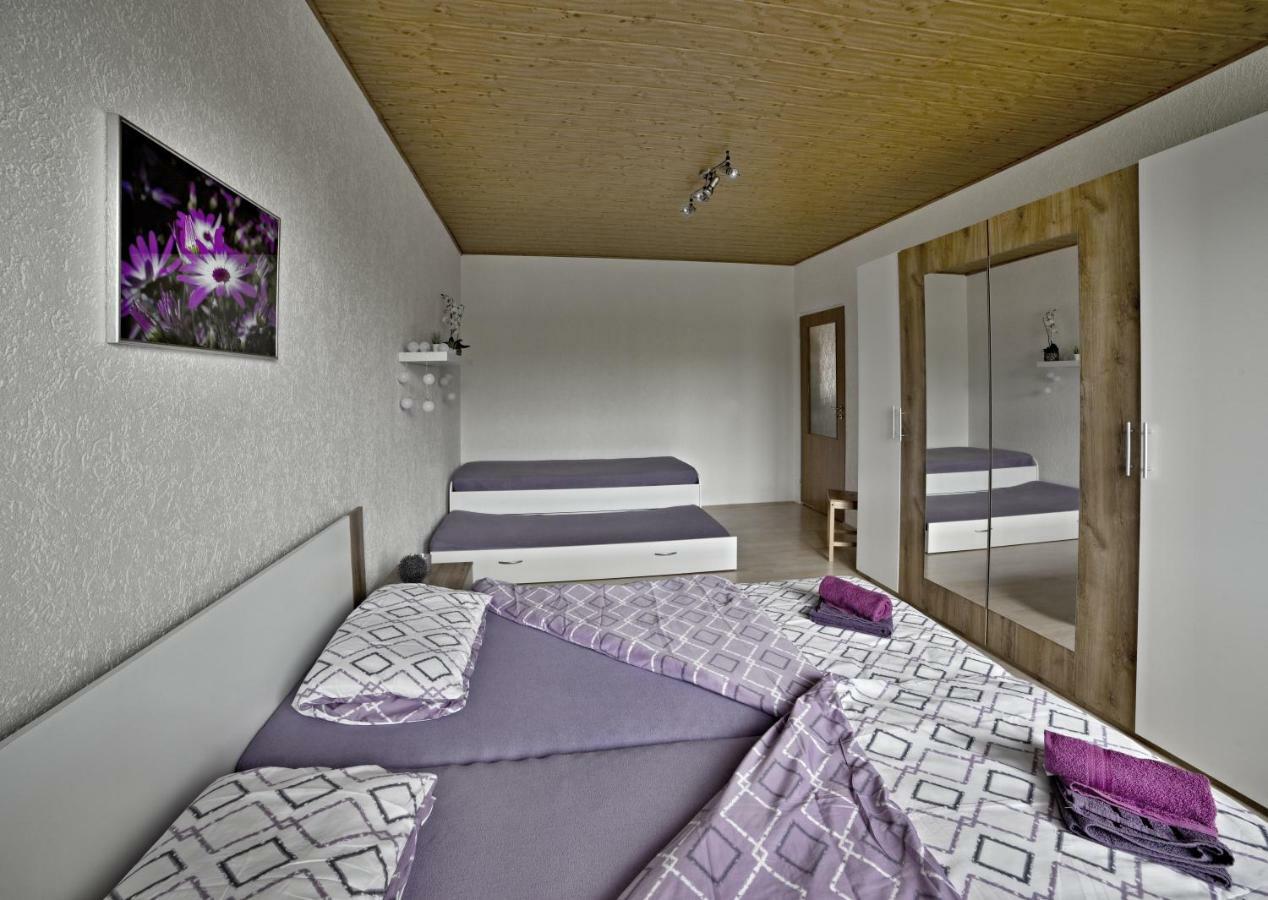 Apartmany 2+1 U Klinovce Kovářská Exteriör bild